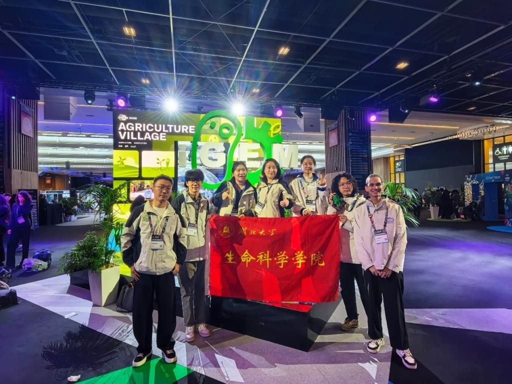 双金闪耀！生命科学学部在国际顶级赛事iGEM中再创佳绩